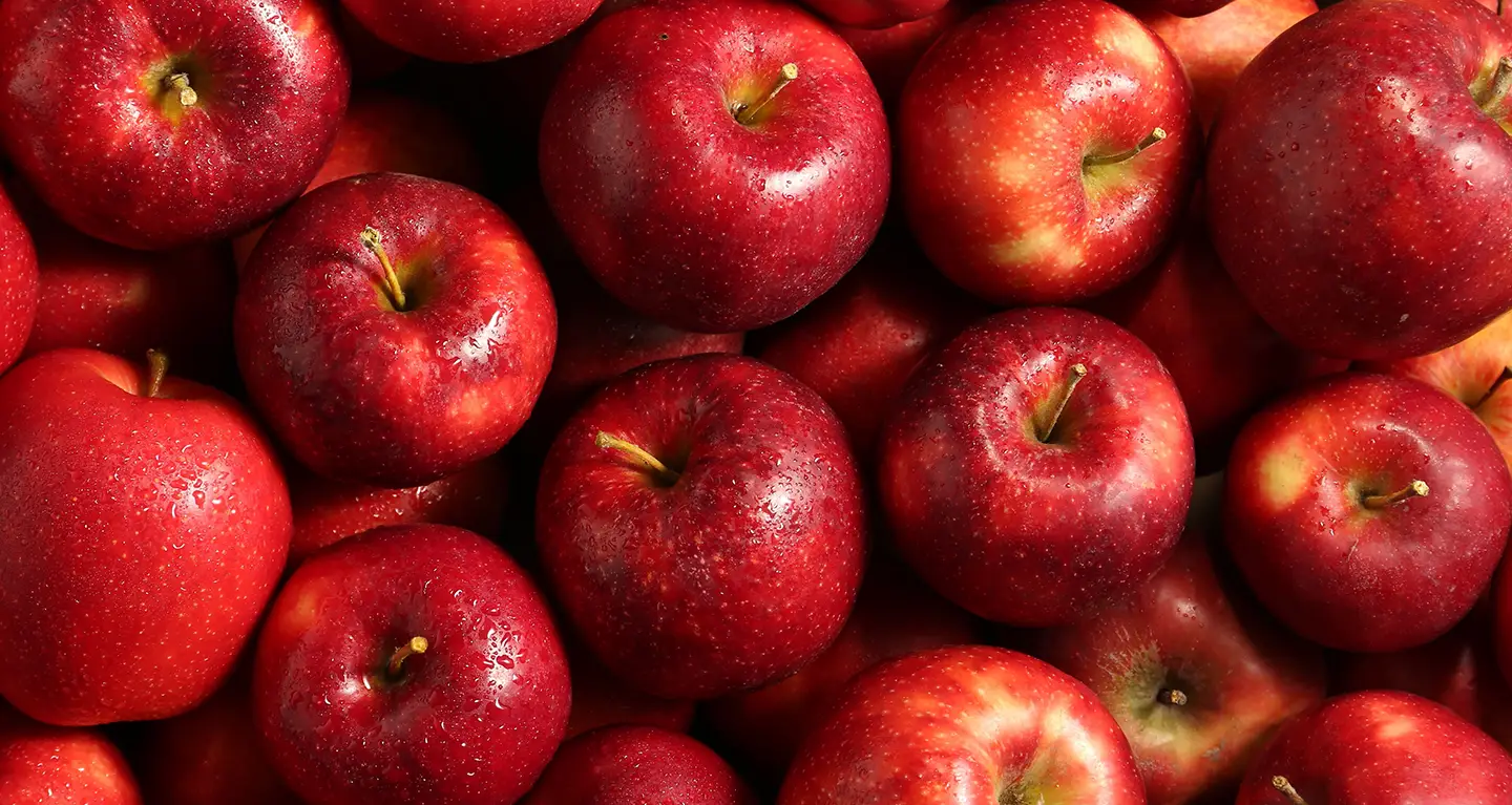 A close arrangement of fresh, glistening red apples, reminiscent of Rosh Hashanah traditions at Temple Emanu-El.
