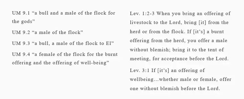 Text excerpts comparing animal offerings in UM 9 and Leviticus, highlighting gender and source details in Jewish law.