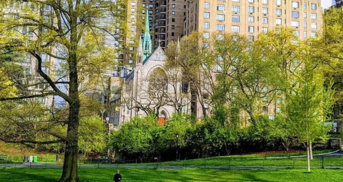 A city park with green trees and grass, a prominent synagogue, and tall buildings rising in the background.