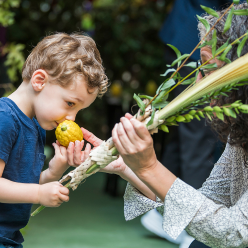 A child enjoys the fragrance of an etrog, gently held by an adult, during a Sukkot celebration at Temple Emanu-El with festive flowers adorning the background.