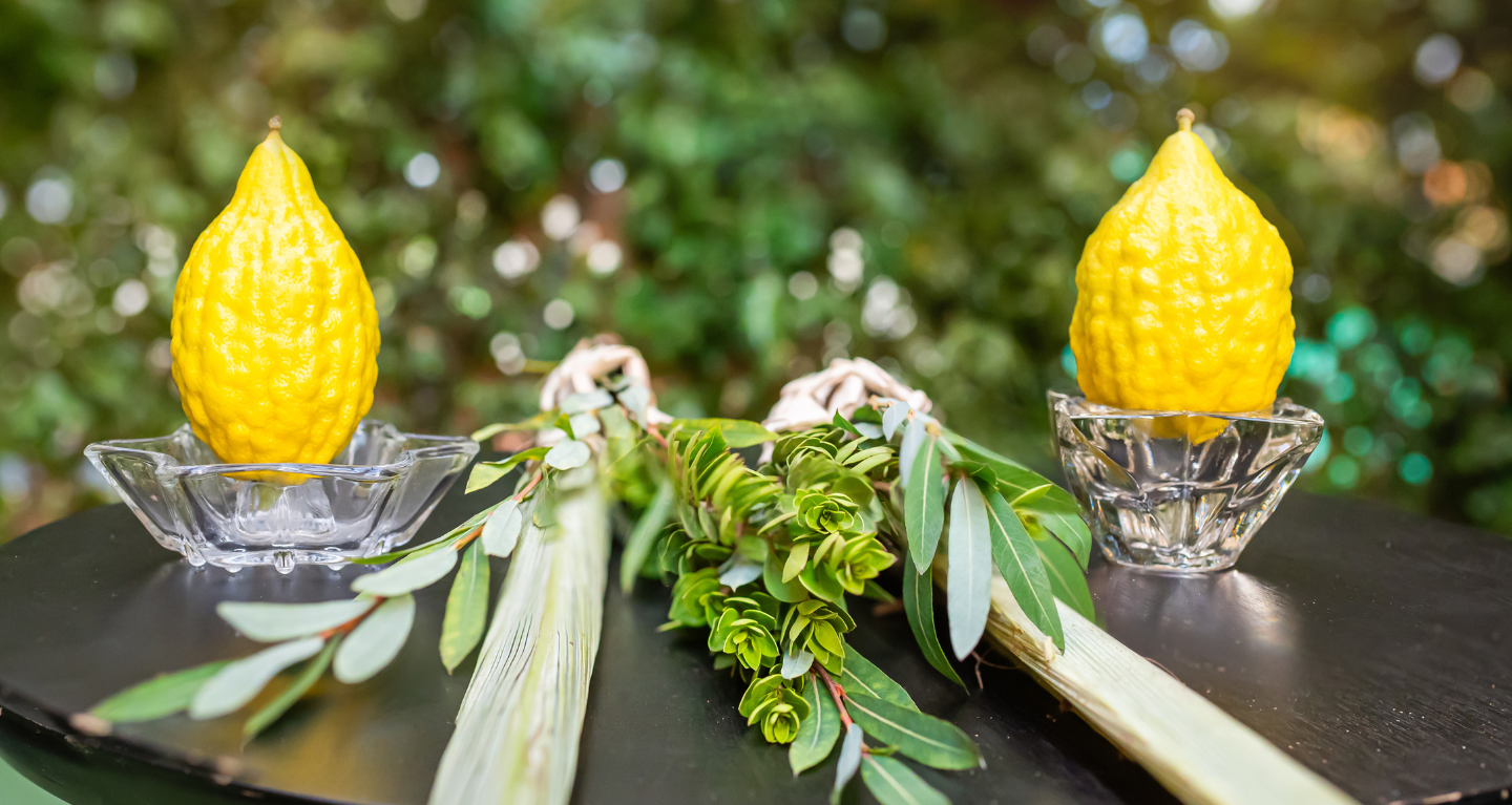 Two yellow etrogs placed in glass holders alongside lulav branches resting on a dark surface, with green foliage softly visible in the background.