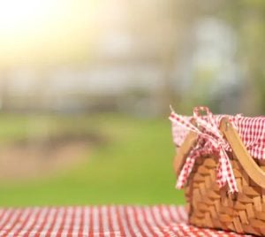 A picnic basket with a red and white checkered cloth on a matching tablecloth, set outside in the sun at Temple Emanu-El.