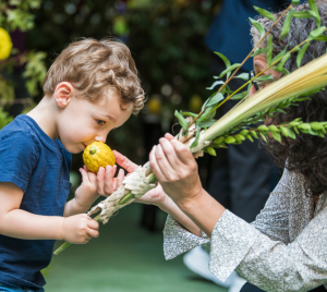 A child enjoys the fragrance of an etrog, gently held by an adult, during a Sukkot celebration at Temple Emanu-El with festive flowers adorning the background.