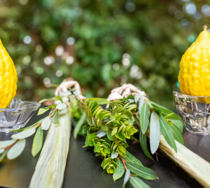 Two yellow etrogs placed in glass holders alongside lulav branches resting on a dark surface, with green foliage softly visible in the background.